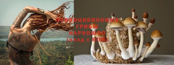 дмт Вязьма