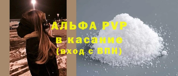хмурый Абаза