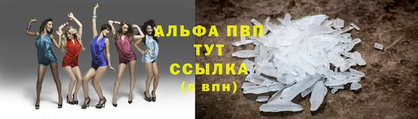 хмурый Абаза