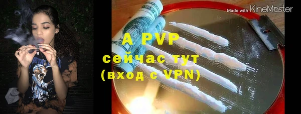 хмурый Абаза