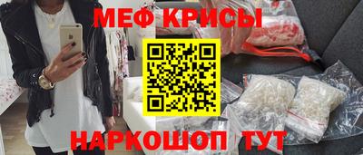 стаф Гатчина