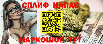 не бодяженный Гай