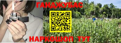 не бодяженный Гай