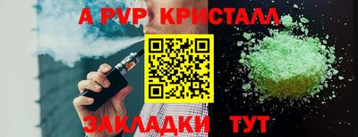 стаф Гатчина