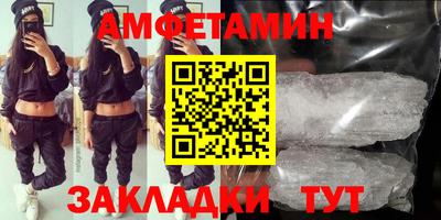 стаф Гатчина
