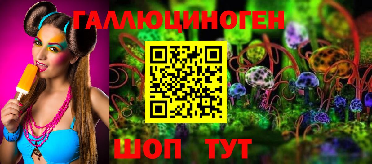 Псилоцибиновые грибы прущие грибы  купить   Отрадное  Вход с VPN  Галлюциногенные грибы мицелий 