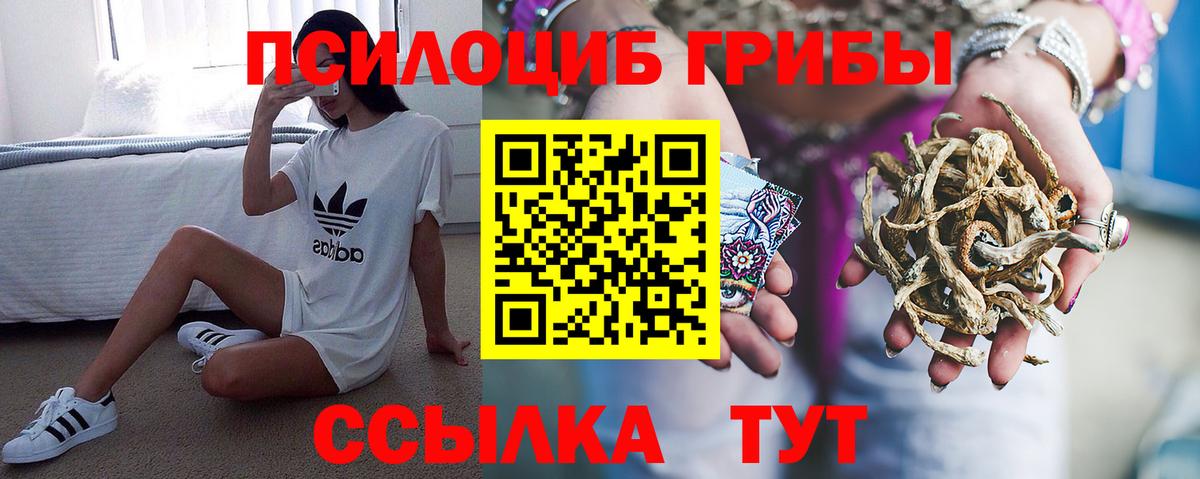 Псилоцибиновые грибы Cubensis Отрадное