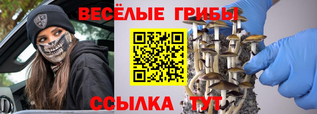 Псилоцибиновые грибы Psilocybine cubensis Отрадное